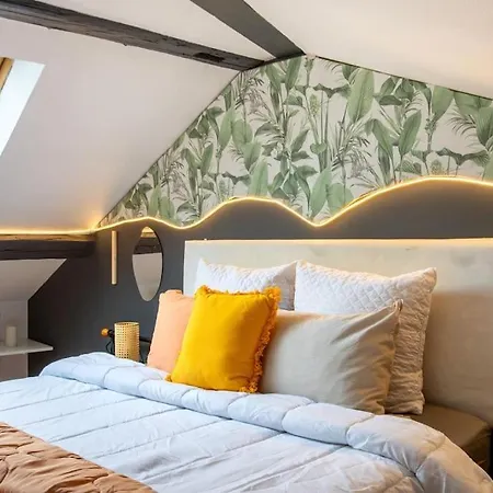 Apartamento Le Lumina - Style Et Confort Au Centre Mulhouse