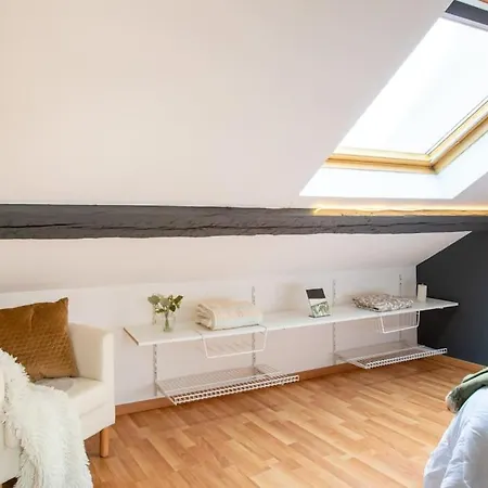 Apartament Le Lumina - Style Et Confort Au Centre